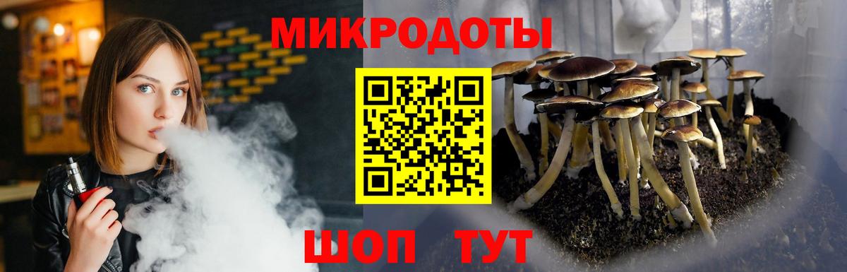 Галлюциногенные грибы мицелий  Псилоцибиновые грибы Psilocybine cubensis  Видное  Вход с VPN 